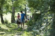 balade en poney en forêt cantalienne avec le club enfants