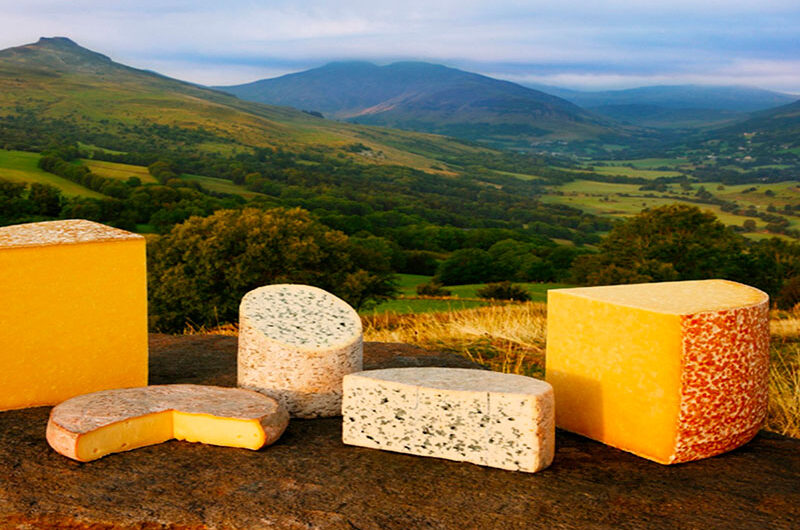 Fromages Cantal servis en buffet au Domaine de la Chataigneraie