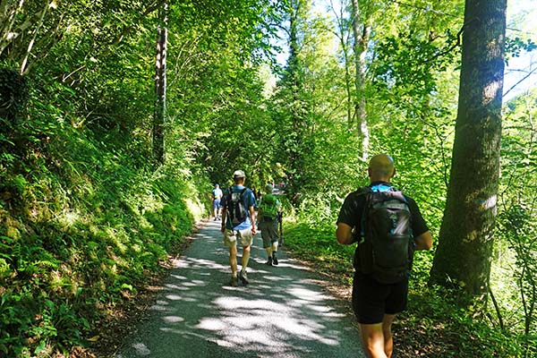 Randonnée en famille pendant vos vacances d'été au Domaine de la chataigneraie cantal