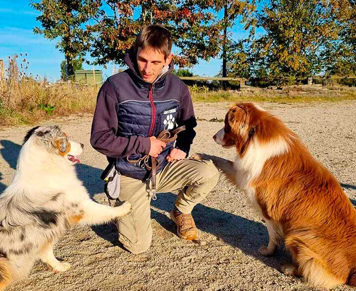 Séjour éducation canine en famille - village vacances la Châtaigneraie